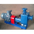 CYZ explosion proof electric fuel pump